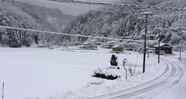 雪道の風景
